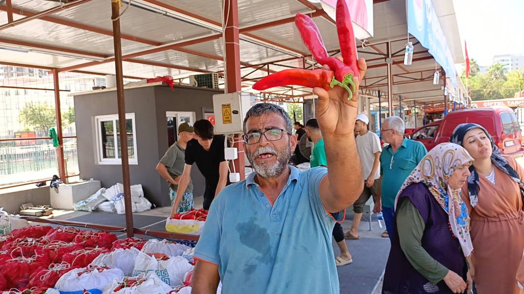 Karaisalı biberi üreticinin elinde kaldı: 'Geçen yıl 25, bu yıl 19 TL' 5